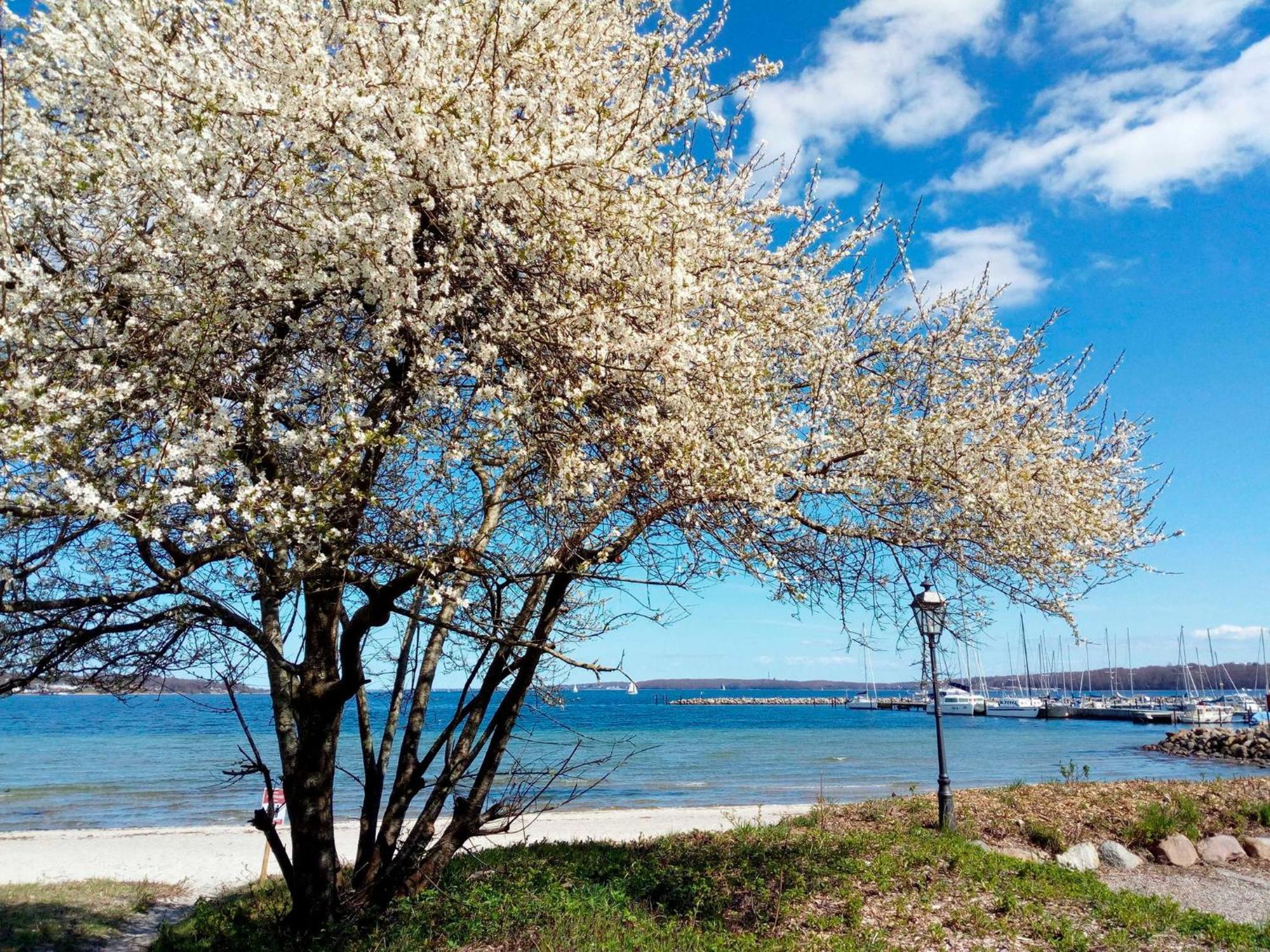 Appartement Foerdeblick Am Strand Von Wassersleben App 631 Harrislee Dış mekan fotoğraf